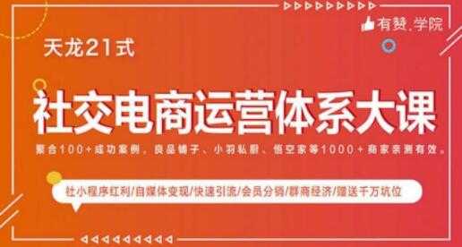 社交电商运营课程，实体新零售拉新留存转化即学即用-虚拟资源库