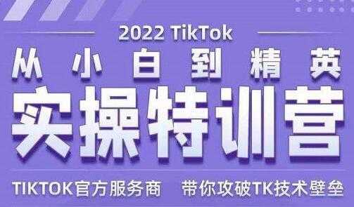 Seven漆《Tiktok从小白到精英实操特训营》带你掌握Tiktok账号运营-虚拟资源库