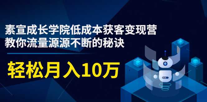 图片[1]-素宣成长学院低成本获客变现营，教你流量源源不断的秘诀，轻松月入10万-虚拟资源库