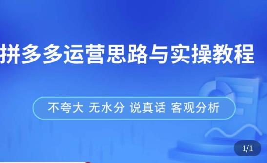 图片[1]-拼多多店铺运营思路与实操教程，快速学会拼多多开店和运营，少踩坑，多盈利-虚拟资源库