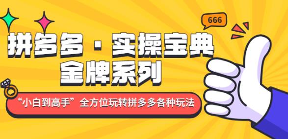 拼多多·实操宝典：金牌系列“小白到高手”带你全方位玩转拼多多各种玩法-虚拟资源库