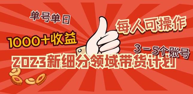 2023新细分领域带货计划：单号单日1000+收益不难，每人可操作3-5个账号-虚拟资源库