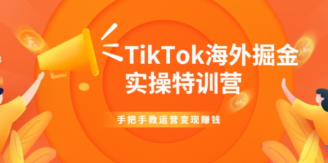TikTok海外掘金实操特训营：手把手教运营变现赚钱-虚拟资源库