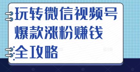 玩转微信视频号爆款涨粉赚钱全攻略，让你快速抓住流量风口，收获红利财富-虚拟资源库