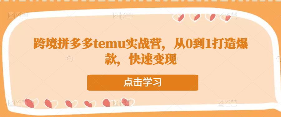 跨境拼多多temu实战营，从0到1打造爆款，快速变现-虚拟资源库