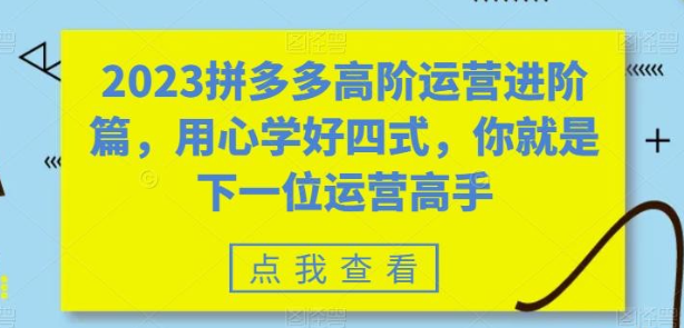 2023拼多多高阶运营进阶篇，用心学好四式，你就是下一位运营高手-虚拟资源库