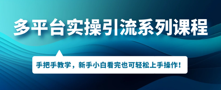 多平台实操引流系列课程 手把手教学 新手小白看完也可轻松上手引流操作-虚拟资源库