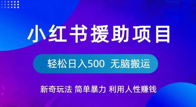 2023小红书援助项目新奇玩法，简单暴力，无脑搬运轻松日入500【揭秘】-虚拟资源库