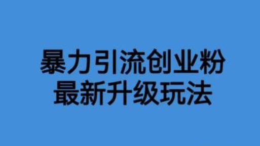 2023价值1980一千个野路子暴力引流最新升级玩法【揭秘】-虚拟资源库