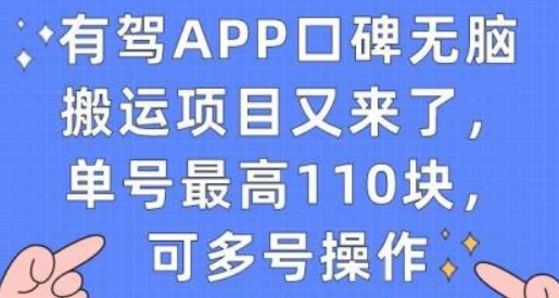 有驾App搬砖项目 每单100+ 可批量操作 官方限时活动-虚拟资源库