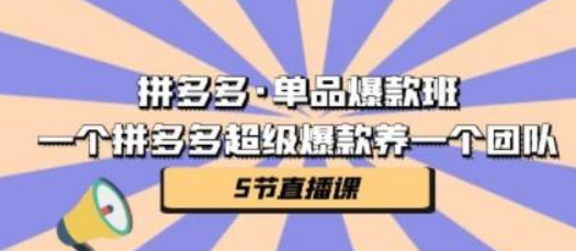 拼多多·单品爆款班，一个拼多多超级爆款养一个团队（5节直播课）-虚拟资源库