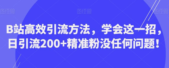 B站高效引流方法，2023学会这一招，日引流200+精准粉没任何问题【揭秘】-虚拟资源库