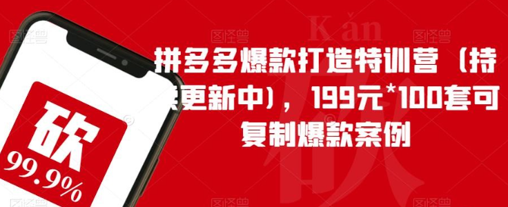 2023拼多多爆款打造特训营（持续更新中)，199元*100套可复制爆款案例-虚拟资源库