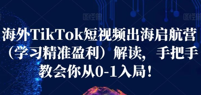 海外TikTok短视频出海启航营精准盈利-虚拟资源库