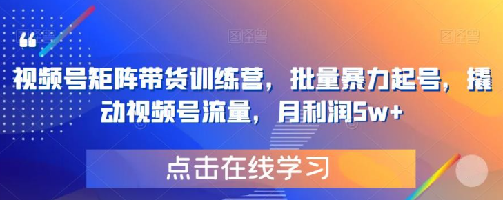 2023视频号矩阵带货训练营，批量暴力起号，撬动视频号流量，月利润5w+-虚拟资源库