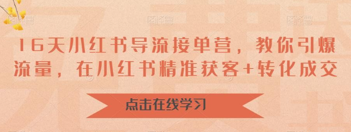 16天小红书导流接单营，2023教你引爆流量，在小红书精准获客+转化成交-虚拟资源库