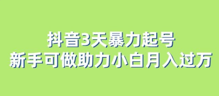 2023抖音3天暴力起号新手可做助力小白月入过万【揭秘】-虚拟资源库