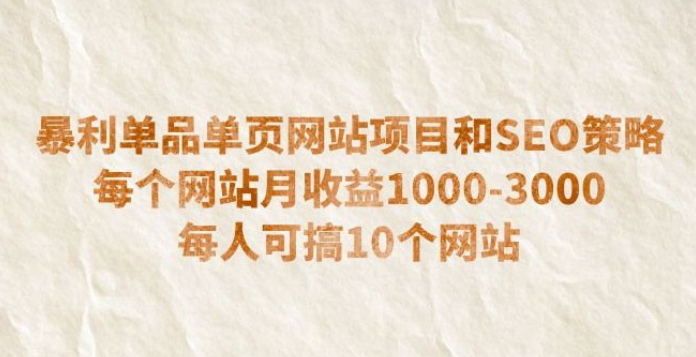 暴利单品单页网站项目和 SEO 策略：每个网站月收益 1000~3000 每人可搞 10 个-虚拟资源库