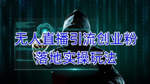 2023外面收费3980的无人直播引流创业粉落地实操玩法，单日引100+精准创业粉-虚拟资源库