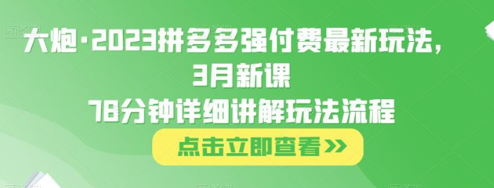 大炮·2023拼多多强付费最新玩法，3月新课​78分钟详细讲解玩法流程-虚拟资源库