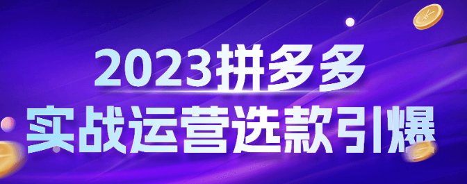 2023拼多多实战运营选款引爆-虚拟资源库