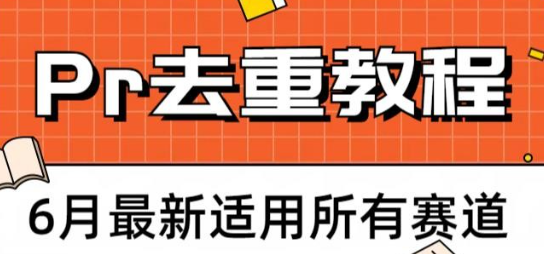 2023年6月最新Pr深度去重适用所有赛道，一套适合所有赛道的Pr去重方法-虚拟资源库