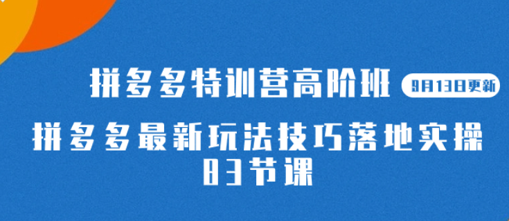 2023拼多多特训营高阶班【9月13日更新】 拼多多最新玩法技巧落地实操-虚拟资源库