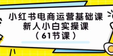 小红书电商运营基础课 新人小白实操课（共61节课）-虚拟资源库