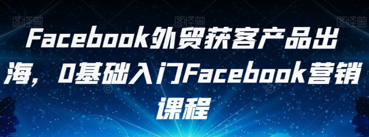 Facebook外贸获客产品出海 0基础入门Facebook营销课程-虚拟资源库