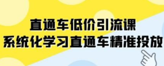 直通车-低价引流课，系统化学习直通车精准投放（14节课）-虚拟资源库