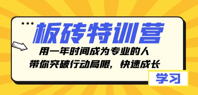 板砖特训营 用一年时间成为专业的人 带你突破行动局限 快速成长-虚拟资源库