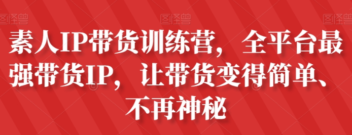 素人IP带货训练营 全平台最强带货IP 让带货变得简单 不再神秘-虚拟资源库