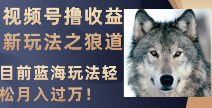 视频号撸收益新玩法之狼道 目前蓝海玩法轻松月入过万-虚拟资源库