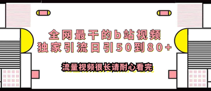 全网最干的b站视频独家引流 日引50到80+流量-虚拟资源库