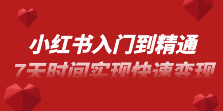 小红书入门到精通课 无货源电商实操运营 7天时间实现快速变现-虚拟资源库