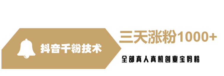 价值2000的抖音千粉技术分享-虚拟资源库