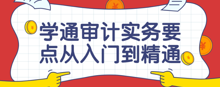 学通审计实务要点从入门到精通课-虚拟资源库