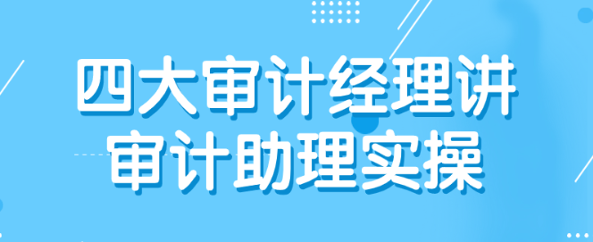 四大审计经理讲审计助理实操-虚拟资源库