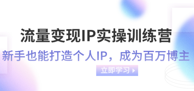 流量变现IP实操训练营 新手也能打造个人IP 成为百万博主（46节课）-虚拟资源库