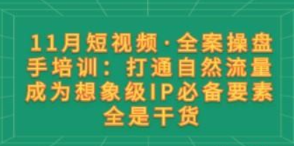 11月短视频·全案操盘手培训：打通自然流量 成为想象级IP必备要素 全是干货-虚拟资源库