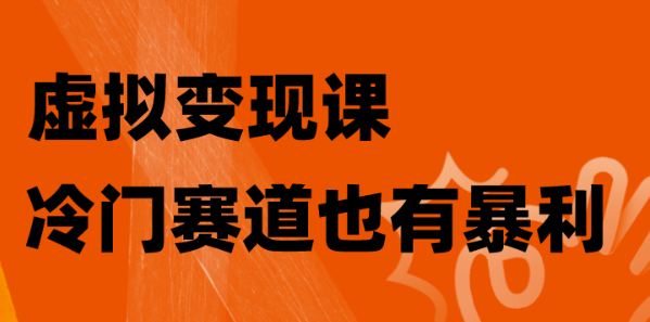 虚拟变现课 冷门赛道也有暴利 手把手教你玩转冷门私域-虚拟资源库