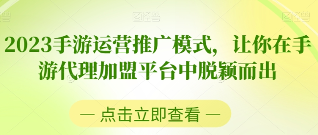 2023手游运营推广模式 让你在手游代理加盟平台中脱颖而出-虚拟资源库