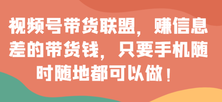 视频号带货联盟 赚信息差的带货钱 只需手机随时随地都可以做！-虚拟资源库