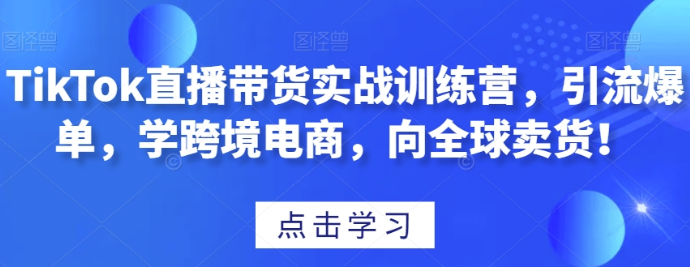 TikTok直播带货实战训练营 引流爆单 学跨境电商 向全球卖货！-虚拟资源库