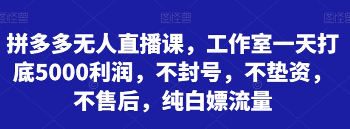 拼多多无人直播课 工作室一天打底5000利润 不封号 不垫资 不售后 纯白嫖流量-虚拟资源库