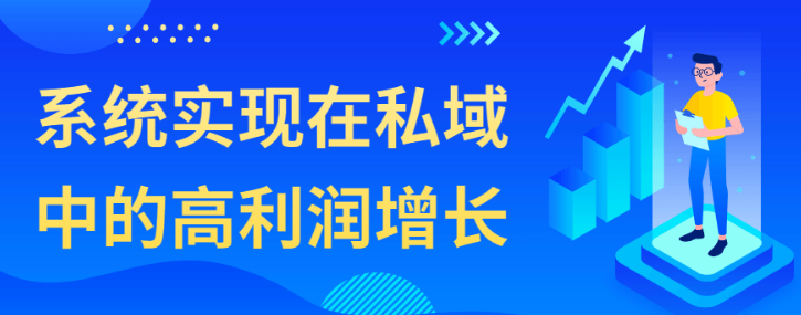 系统实现在私域中的高利润增长-虚拟资源库