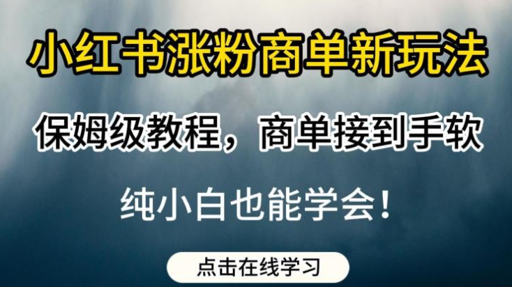 2023小红书涨粉商单新玩法，保姆级教程，商单接到手软，纯小白也能学会【揭秘】-虚拟资源库