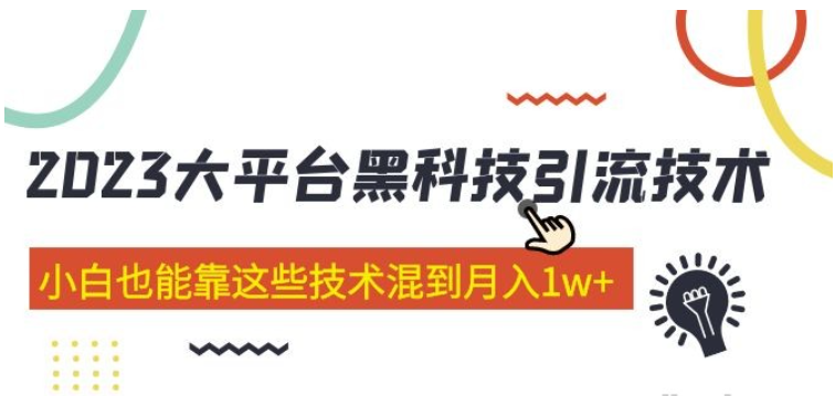 价值4899的2023大平台黑科技引流技术 小白也能靠这些技术混到月入1w+ 共29节课-虚拟资源库