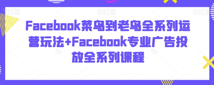 Facebook菜鸟到老鸟全系列运营玩法+Facebook专业广告投放全系列课程-虚拟资源库