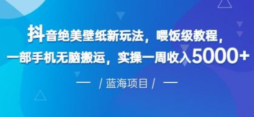 抖音绝美壁纸新玩法，喂饭级教程，一部手机无脑搬运，实操一周收入5000-虚拟资源库